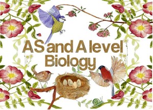 A-level Biology Tutor in Ho Chi Minh City - tutor