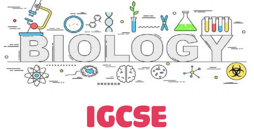 igcse-biology-tutor