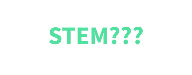 what-is-stem-program