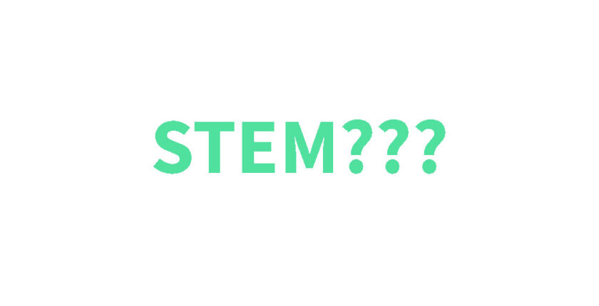 what-is-stem-program